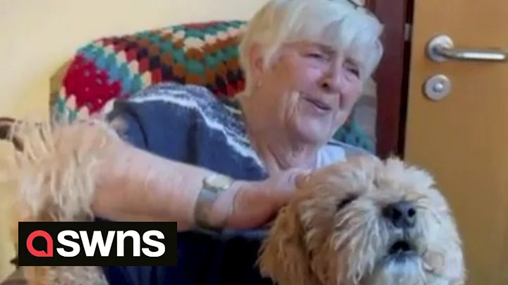 Sweet moment UK care home resident is reunited wit...