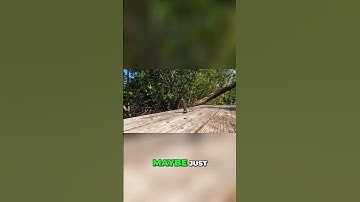 #shorts #photography #photo #vibe #tutorial #photographer #guide