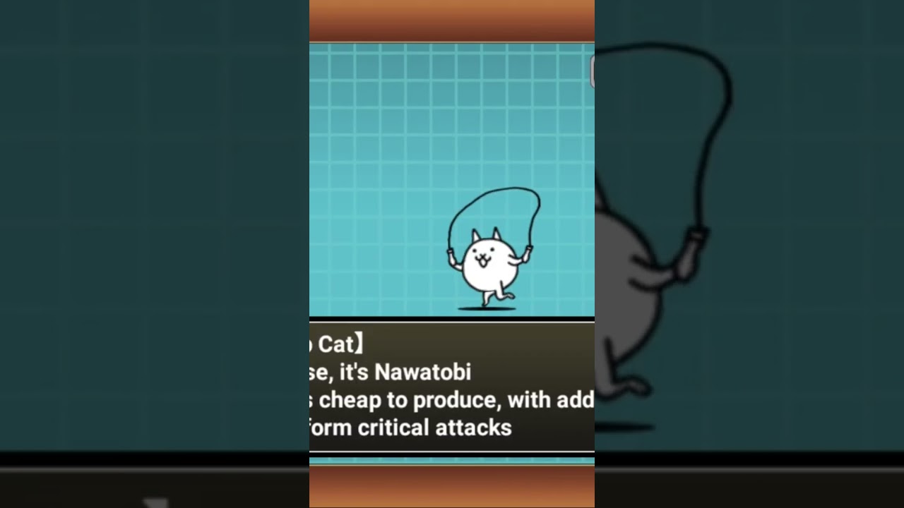 Showcase of Jump Rope Cat!