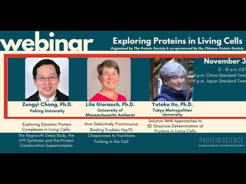 Exploring Proteins in Living Cells