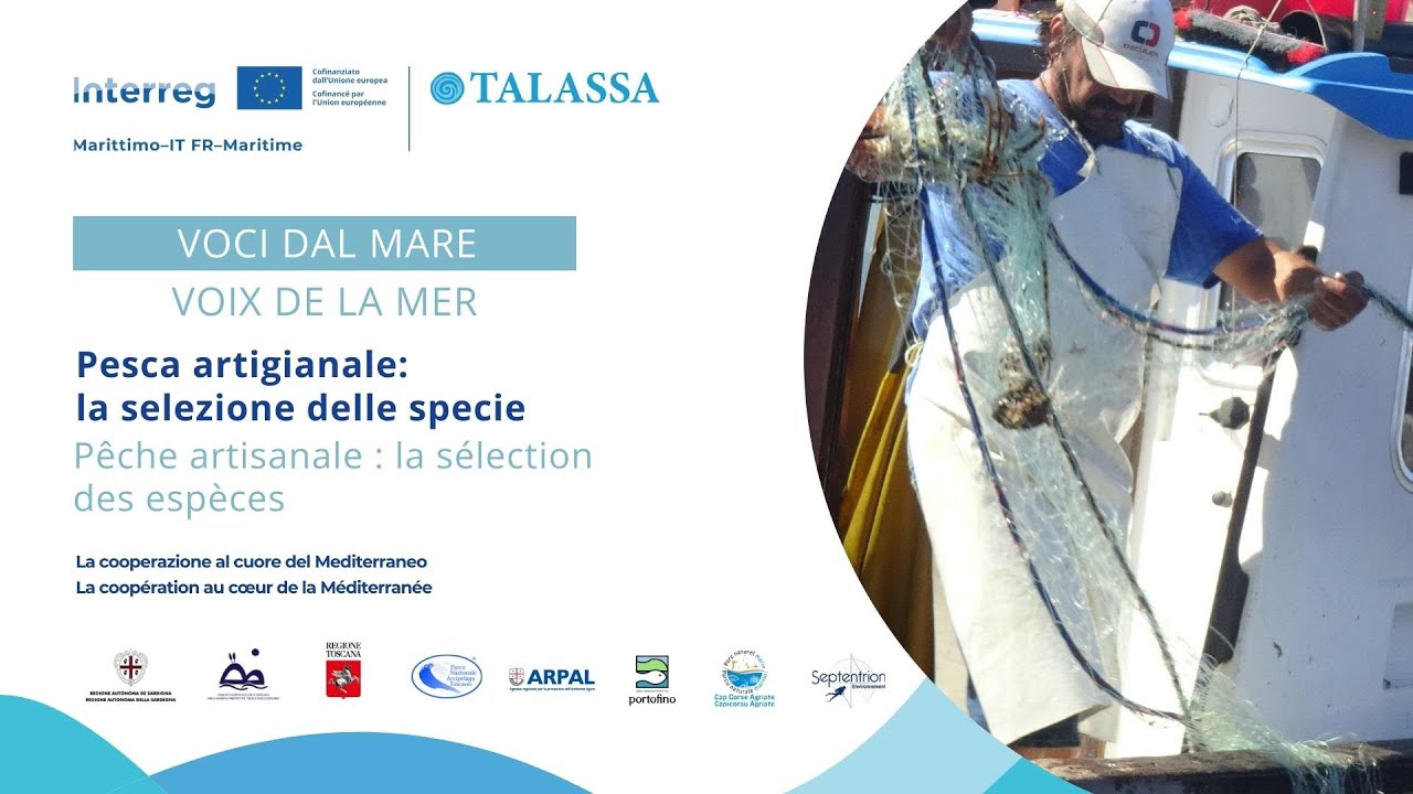 Federico Saccà – Pesca artigianale | Pêche artisanale | TALASSA