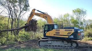 Last Row Of Trees To Remove On The Pond Cleanup by letsdig18 90,717 views 8 days ago 37 minutes