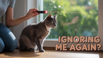 SHOCKING Reason Your Cat Won