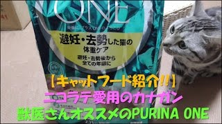 【キャットフード紹介】ニコラテ愛用カナガンと獣医さんオススメのPURINA ONE