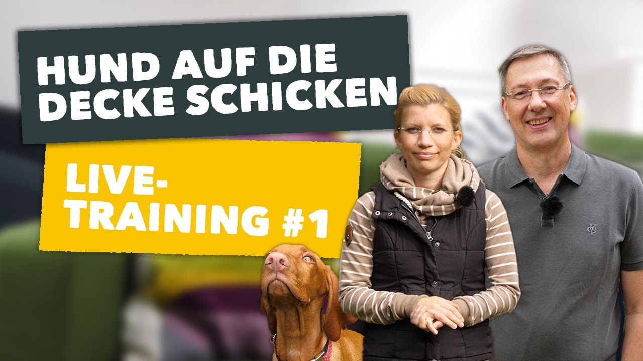 Live-Training #1, Thema: 