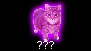 ❗OIIAOIIA CAT Sound Variations in 32 Seconds❗ - YouTube