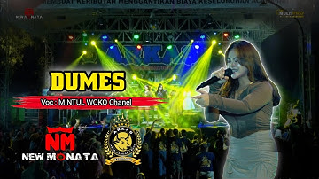 DUMES - MINTUL Woko Chanel - NEW MONATA - Live ARKAS GENERATION JOMBANG || Dhehan audio