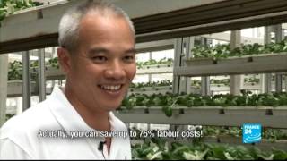 Singapore's Vertical Farms - #AsiaLive