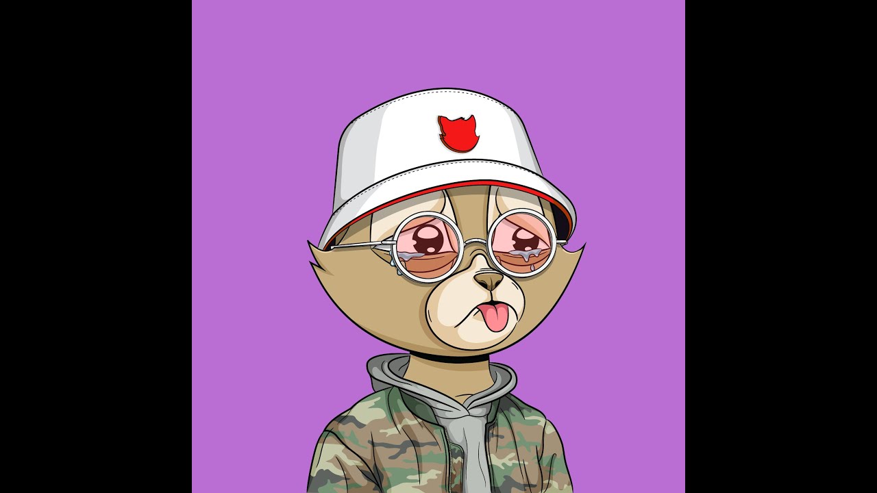 BVDCAT RAFFLE WINNER!