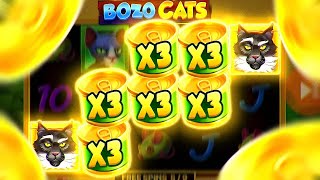 :        BOZO CATS!!