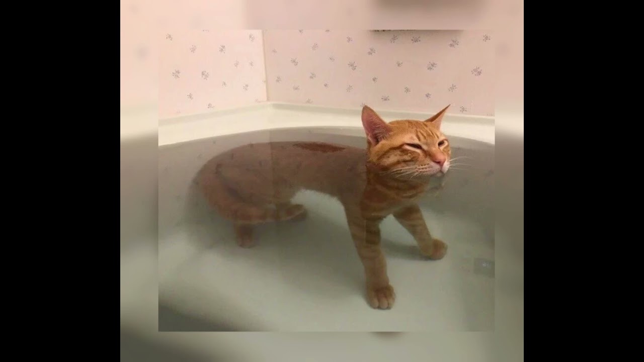 MONATIK-кружит(sped up)