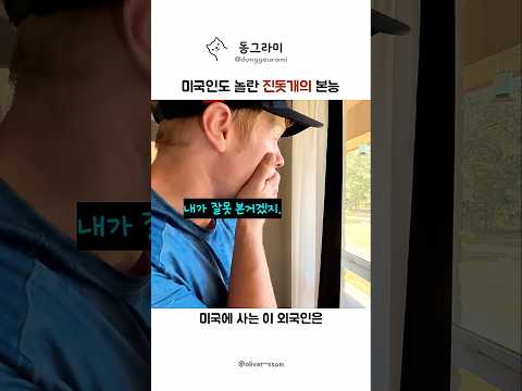 미국인이 충격받은 진돗개의 특급 뇌물 thumbnail