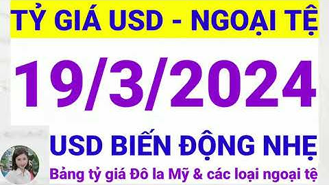 Giá usd mỹ hôm nay bao nhiêu năm 2024