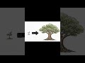 Why Big-O Notation Actually Matters