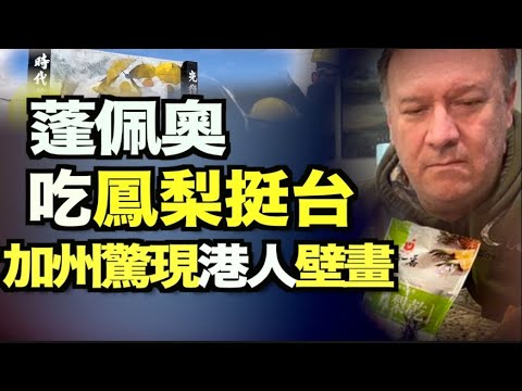 蓬佩奥啖台湾凤梨干“将了一军”;东京奥运火炬接力 47县传至第9站;黑命贵创始人多套豪宅曝光;加州惊现“时代革命”港人抗争画面壁画 ;麦当劳将在沃尔玛内销声匿迹?中共雇凶再袭香港大元【希望之声TV】