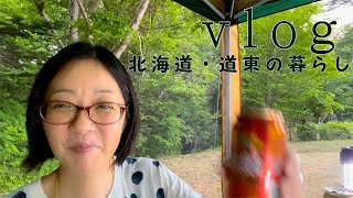 vlog 北海道・道東の暮らし『庭でジンギスカン＆BBQ / 奥様ここでもう一品！残り物で炒り豆腐』