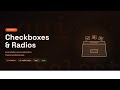Rust egui Checkboxes & Radios — Build Theme Preferences (Ep 5)