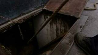 Beer Barrel Makers Endangered