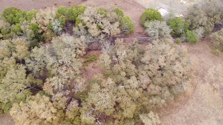 Lot 38_4.673 Acres_Ridge Point Estates