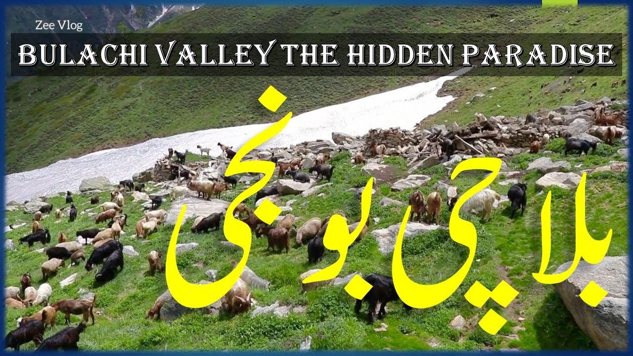 A Trip To Bulachi Bunji Valley Gilgit Baltistan  Part 3 |Hidden Paradise|Zee Vlog|District Astore