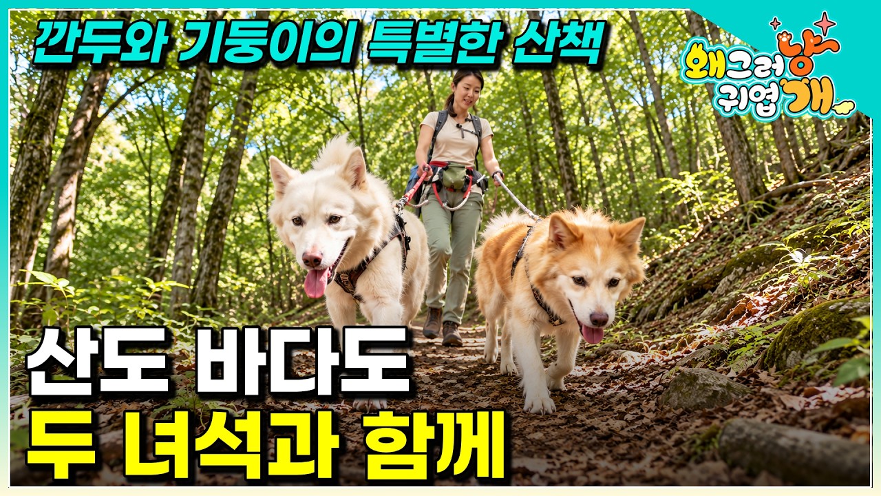 산도 바다도 두 녀석과 함께! 깐두·기둥이와 떠나는 특별한 여행 │#왜그러냥귀엽개