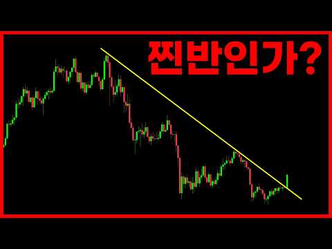 설레기 시작합니다