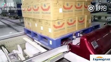 Plastic Pallet Used in AS/RS(Automated Storage and Retrieval System)