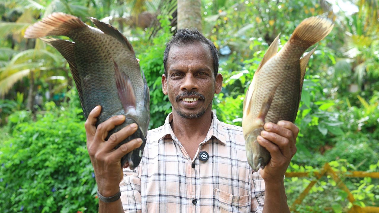 Giant Tilapia fish Masala / എമണ്ടൻ തിലോപ്പിയ കൊണ്ട് ഫിഷ് മസാല ഉണ്ടാക്കിയാലോ #fishmasala