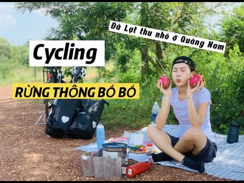 Video Đạp xe Việt Nam // Rừng Thông Bồ Bồ // Đà Lạt thu nhỏ... - youtube