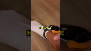 Famous GPS Tracker On Your Ankle ‪@BrettBooker Profile