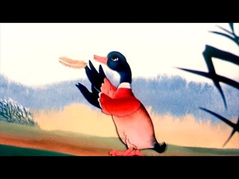 THE DUCK | Great Book of Nature | Full Episode 22 | English