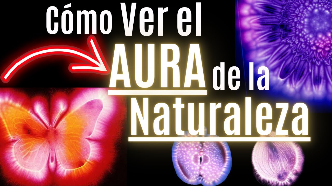 👉 Ejercicio para Ver el AURA de la Naturaleza 🏞🏝 YouTube