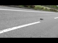 3.5T Brushless motor Speed Run