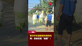 【路上遇到「香蕉列车」🍌】