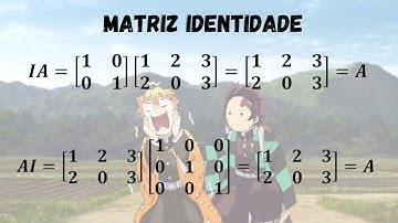 Matriz identidade