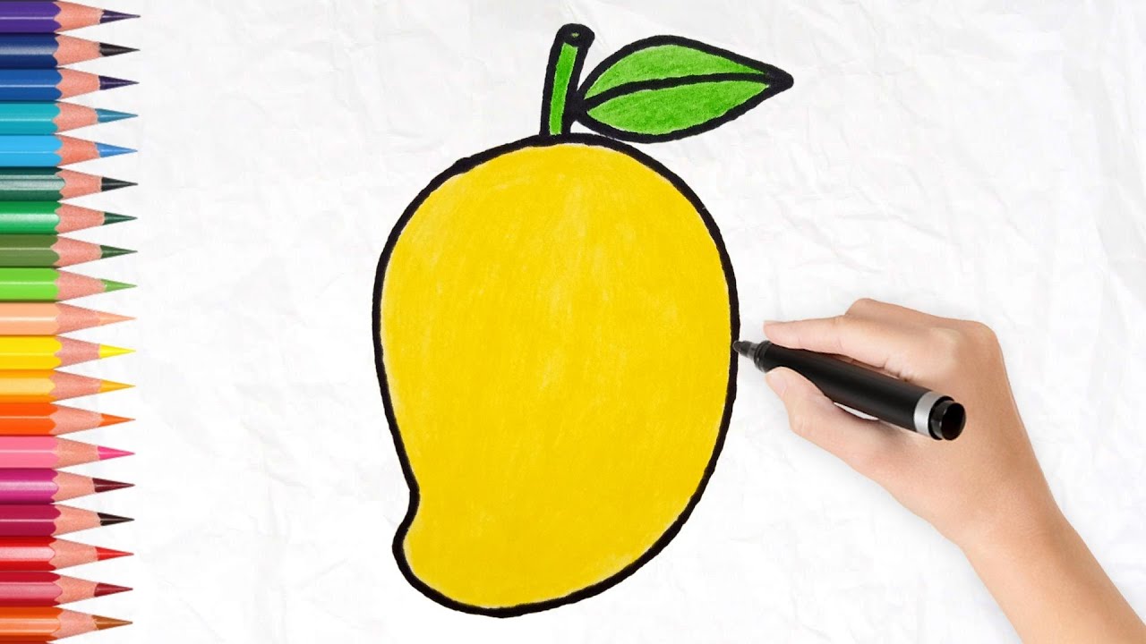 Learn How to Draw a Mango Fruit Drawing in EASY and SIMPLE steps YouTube