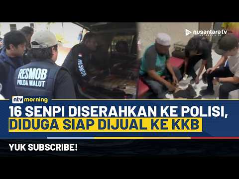 16 Senpi Peninggalan Konflik Diserahkan ke Polisi, Diduga Hendak Dijual ke KKB | NTV MORNING