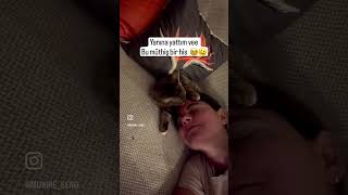 Küçük kızım 😻#kedi #yavrukedi #keşfet #tekirkedi #sokakcanları #catvideos #cat #kedi #shortvideo