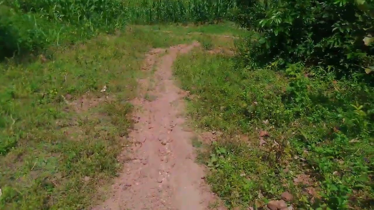 ikibanza kinini kuri M5,5 spm429 kirimu site yagtare kumugomero tel0787690288