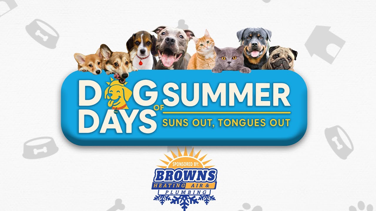 Want to see your pet here next? Scan the QR code click the link in our bio!