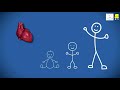 An Introduction to Blood (Bengali) | রক্তের পরিচয়