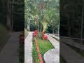 Parque natural en bocay #parque #nicaragua #viral #trending #reels #shorts #viajes #foryou #fyp
