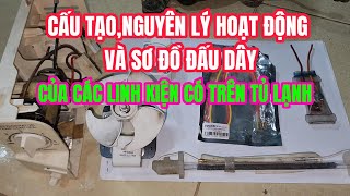 Cấu tạo, nguyên lý hoạt động và sơ đồ đấu dây cho Tủ Lạnh | Tự Học Sửa Chữa Điện Lạnh