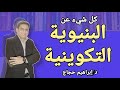 كل شيء عن البنيوية التوليدية د إبراهيم حجاح