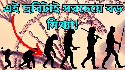 The Biggest Evolution Myths You Still Believe Debunked