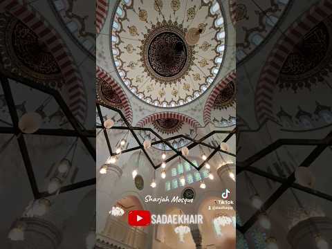 Beautiful Grand Mosque #Shorts #viral #shortsvideo #Sharjah #Masjid #Foryou #fyp #Dubai #SadaeKhair