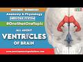 Ventricles of Brain & CSF Flow Explained | OneVideoOneTopic | Nursing Anatomy | OSNS Nursing