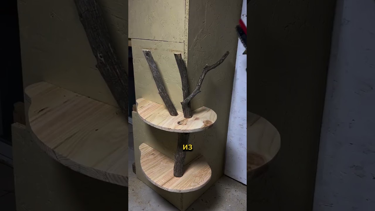 Лучшая замена магазинным шкафам и стеллажам - это ветка дерева прибитая к стене