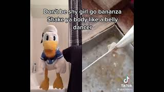 Donaldducc - Thats Incredible Singing Belly Dancer