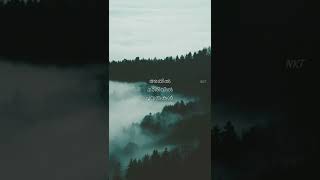 Ammapuzhayude Paithalayi Naran Whatsapp Status.